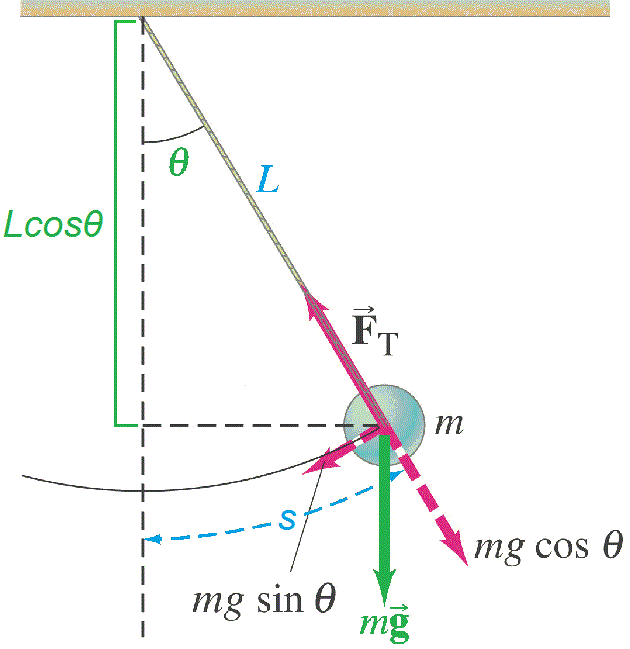 Figure 3: A mass \(m\) is attached to the end of a rope of length \(L\). The mass falls and travels a distance \(s\) with a total angular displacement of \(θ\).