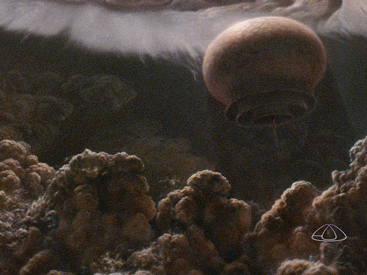   A "Floater" from Cosmos, Episode 2   "Part of the larger mural, "Hunters, Floaters, and Sinkers" painted for the series."\(^{[4]}\)  Image by Adolf Schaller.  