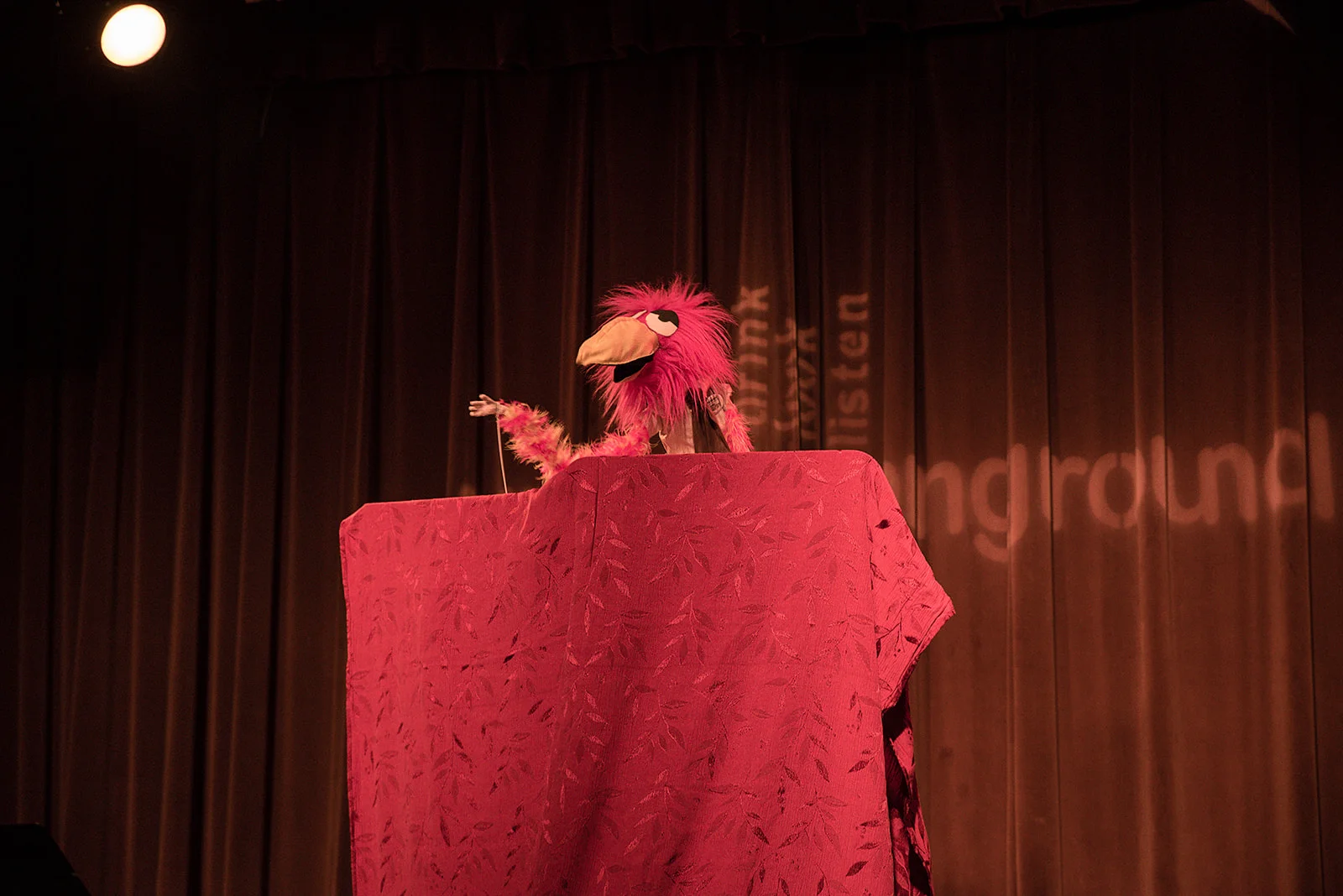NP0_5679.jpg