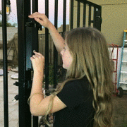 IMG_2913.TRIM-crpped.gif