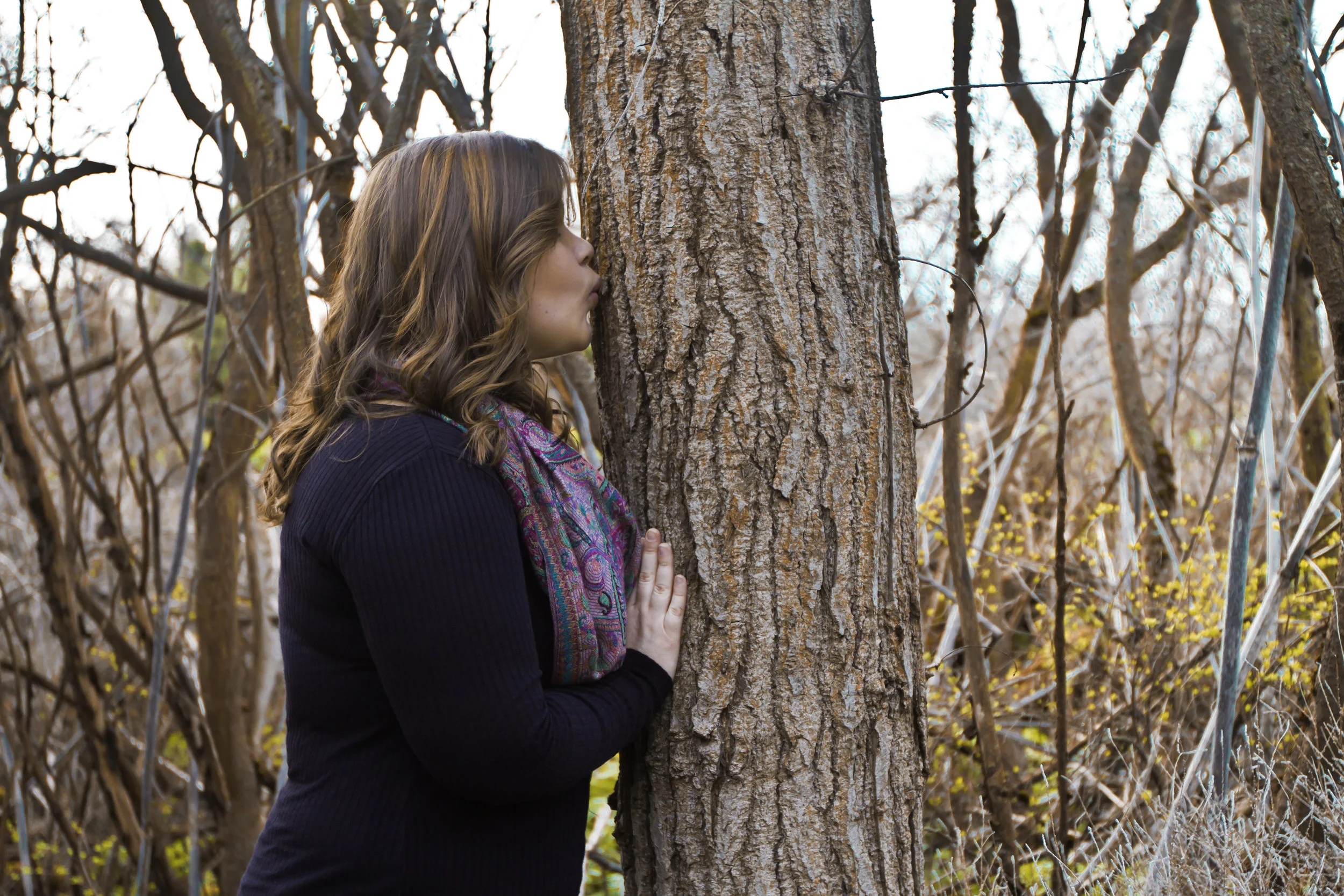 Tree Kisser