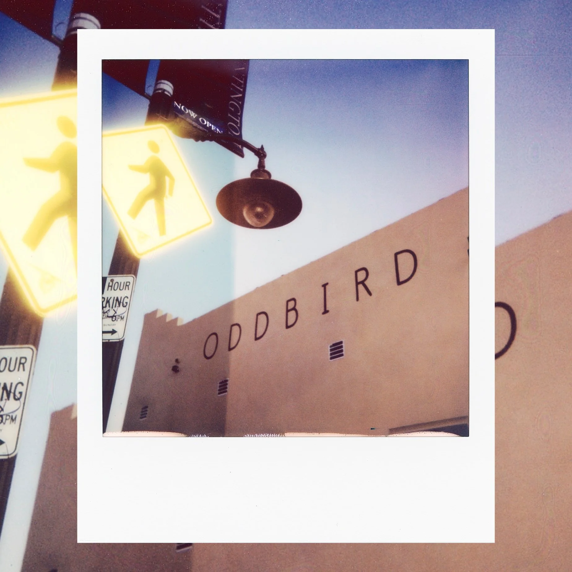 Oddbird Now Open (Copy)