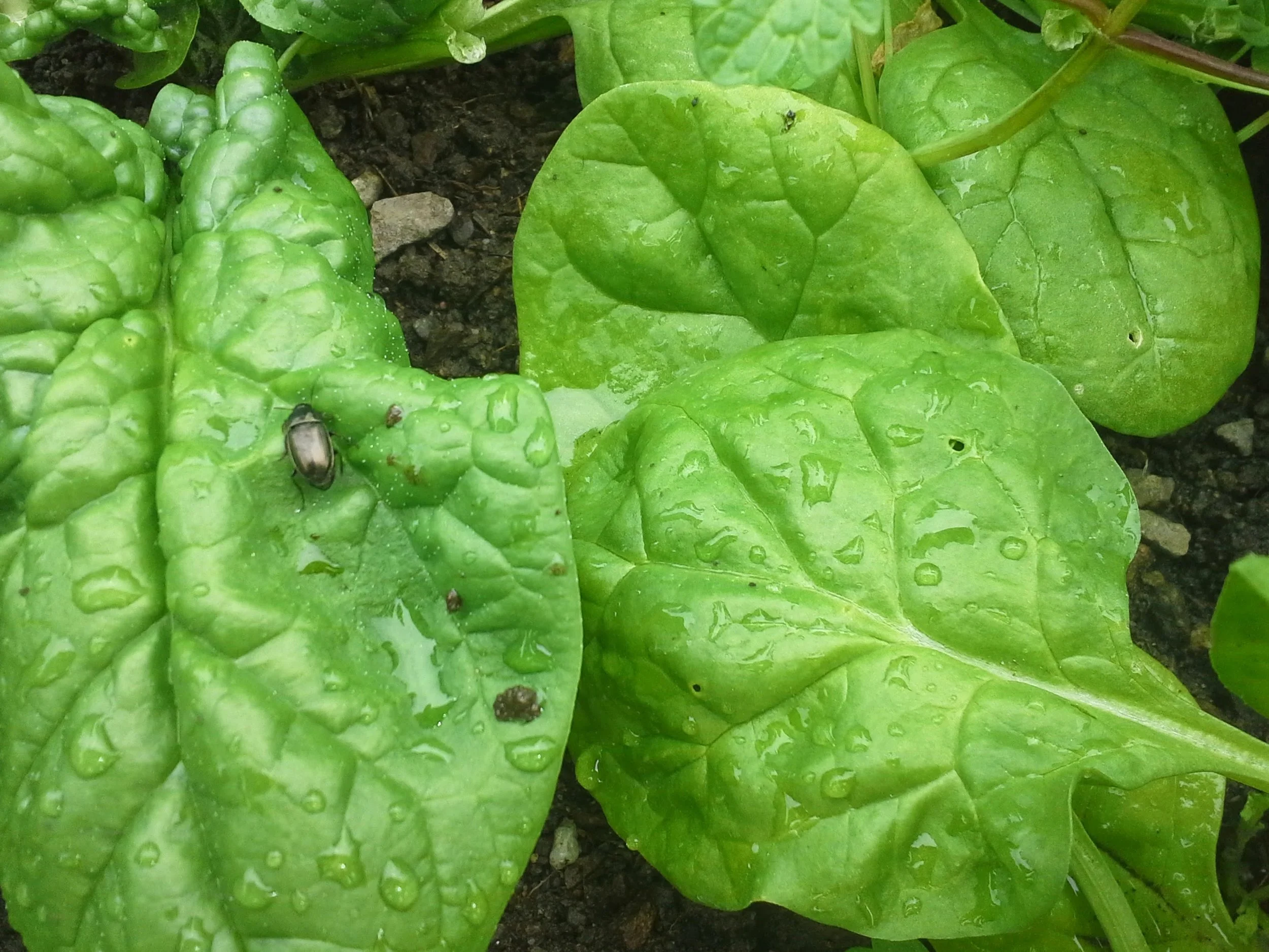 20130521_143733.jpg