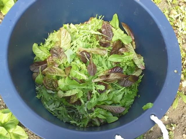 20130417_110211.jpg