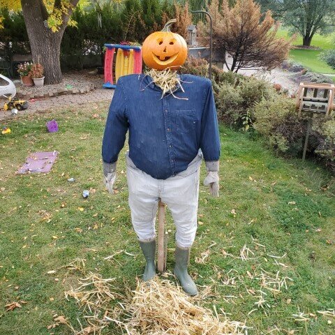  Scarecrow. Levon named him Scareky. 