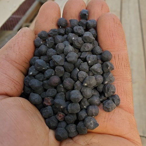 black chickpeas.jpg