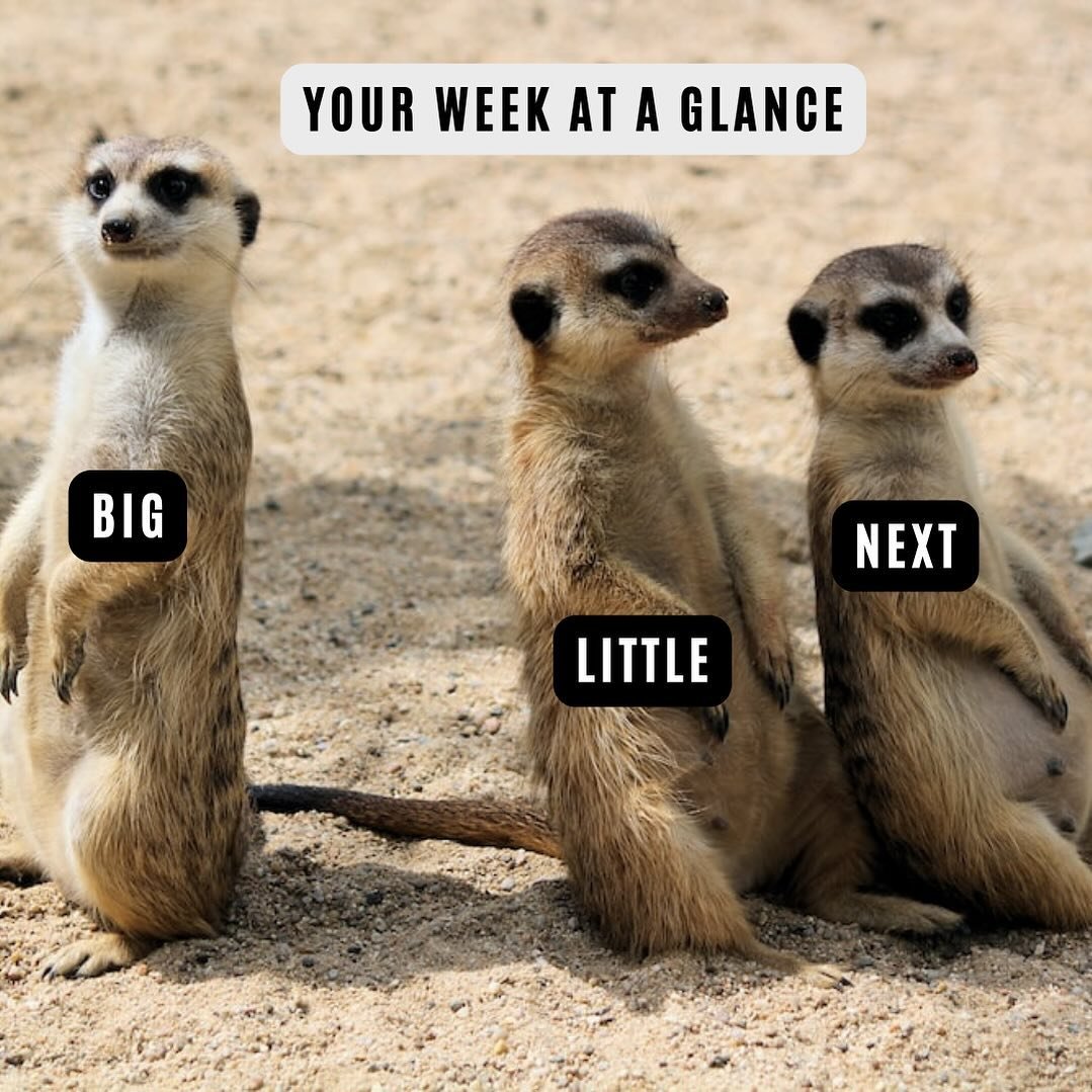 🎯 ONE OF MY KEYS TO ORGANIZING MY WEEK💥 I&rsquo;ve found a killer way to make sure all the important stuff gets done and nothing falls through the cracks ❗️BIG + LITTLE + NEXT❗️I use the BIG, LITTLE, NEXT method in my personality planners to help k