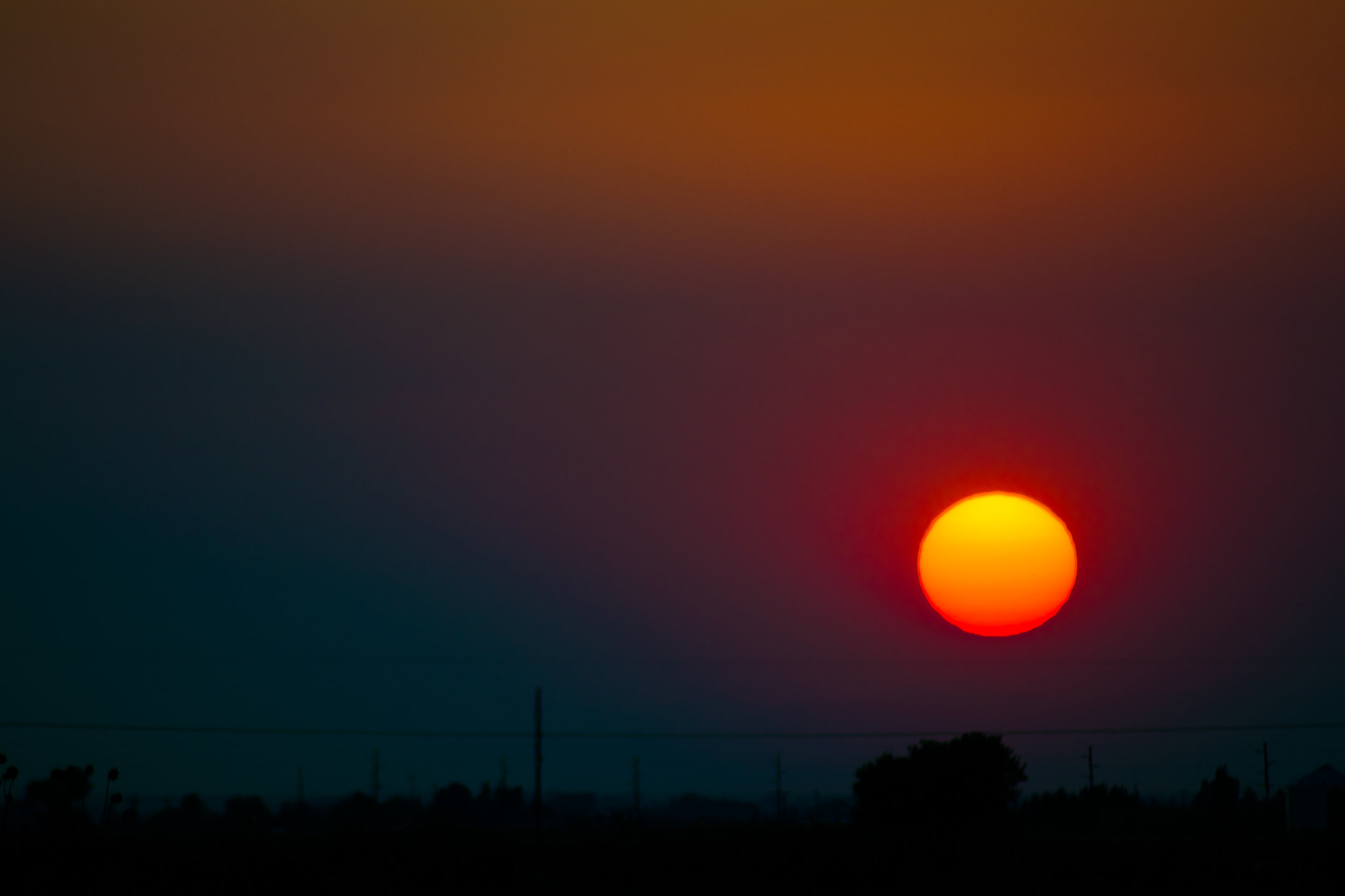 DSC_0300.jpg
