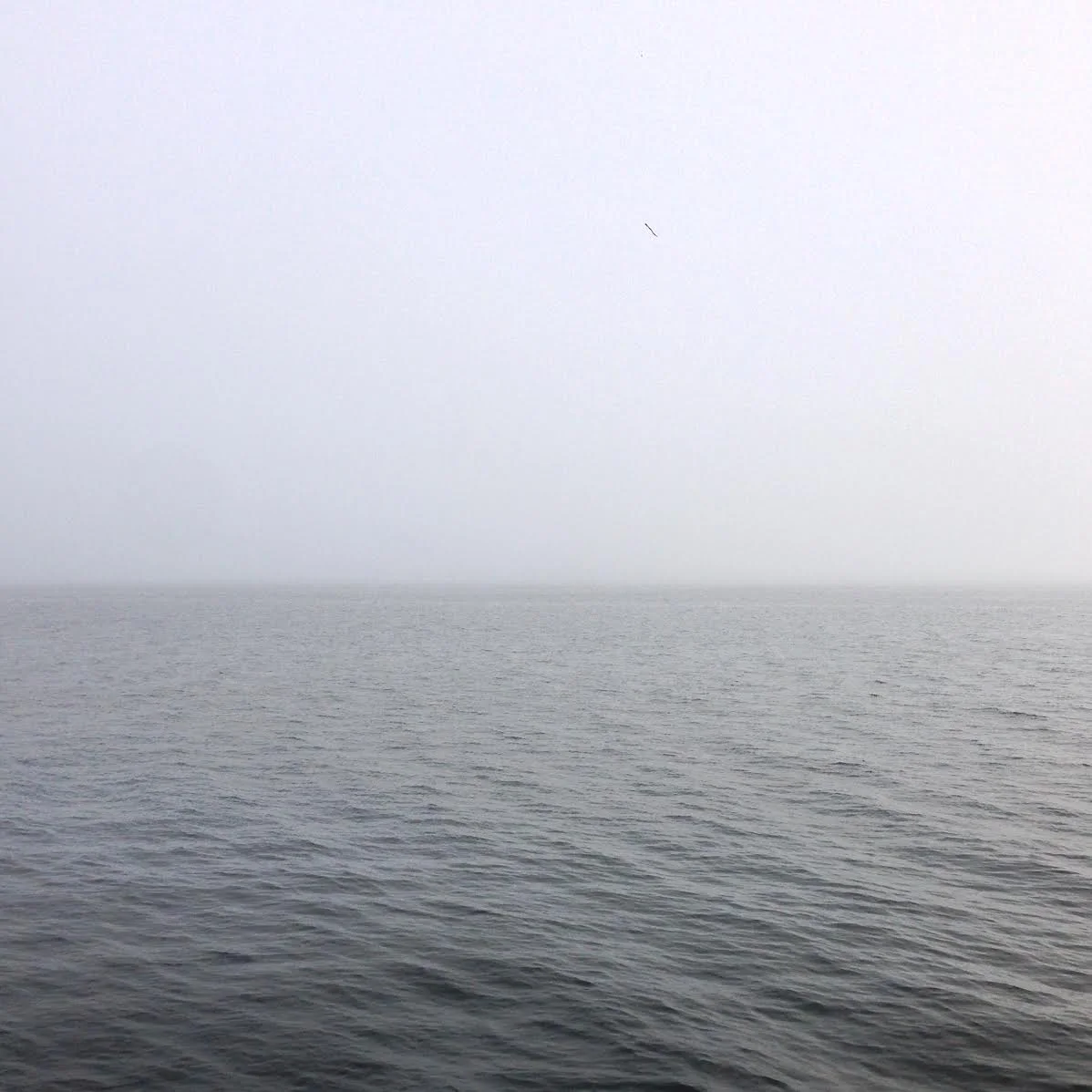 Halifax Harbour, fall 2016.