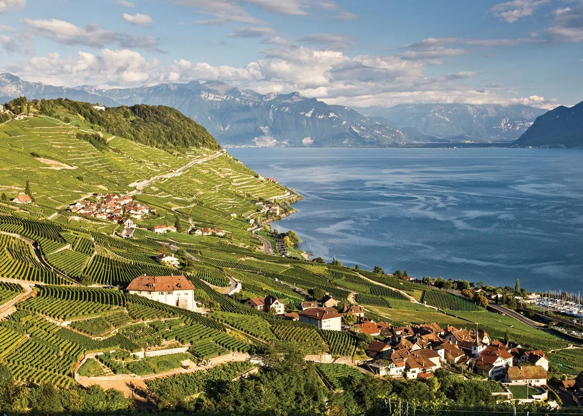 At 1,977 acres, Lavaux is the largest contiguous wine region in Switzerland. Photo by Aurora Open/Getty Images