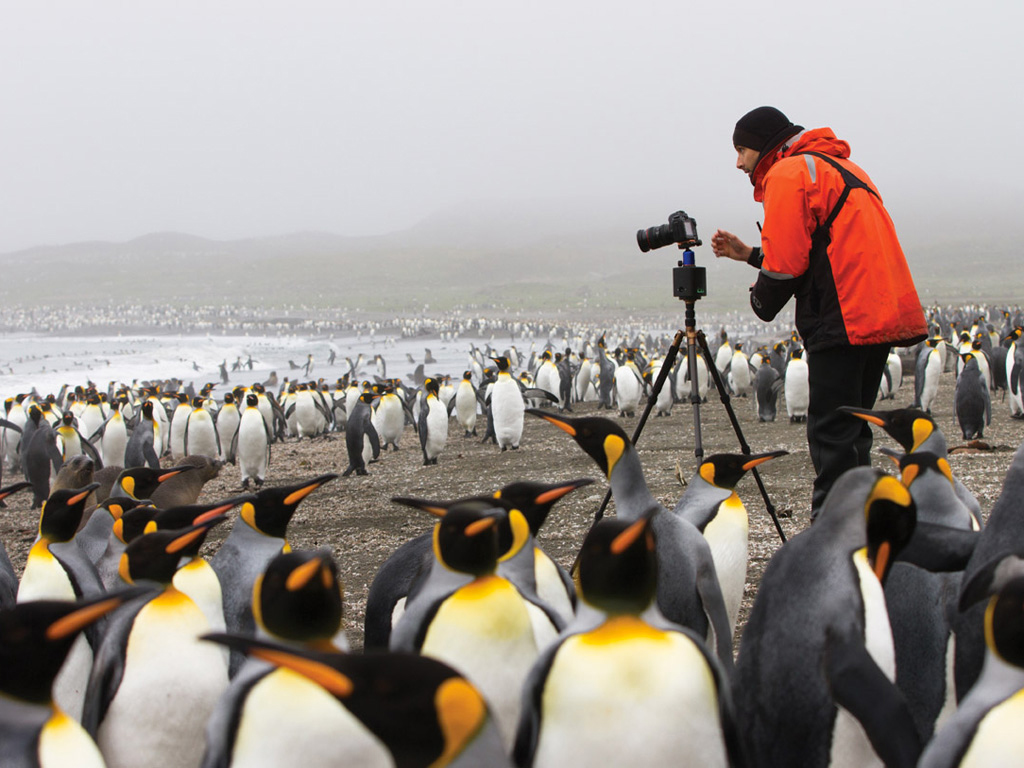 Penguins-17.jpg