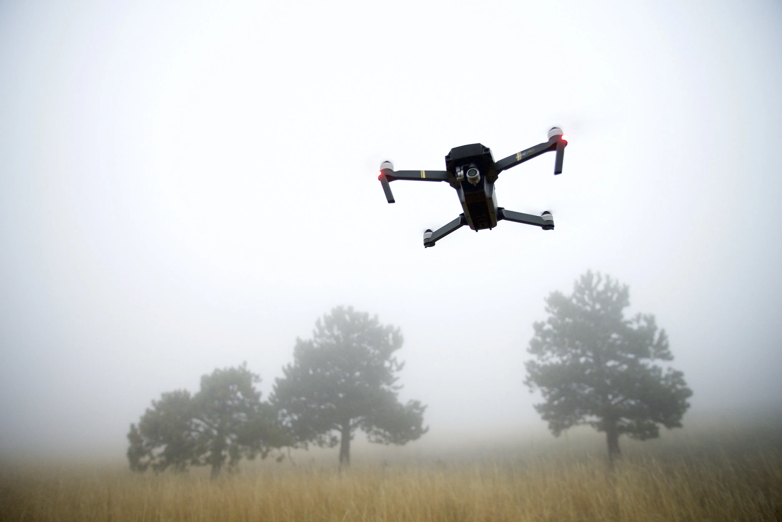 Mavic.jpg