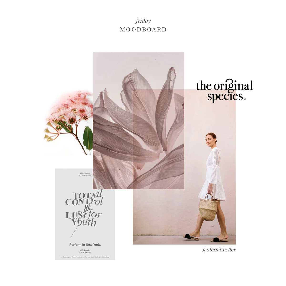 Friday Moodboard / 01