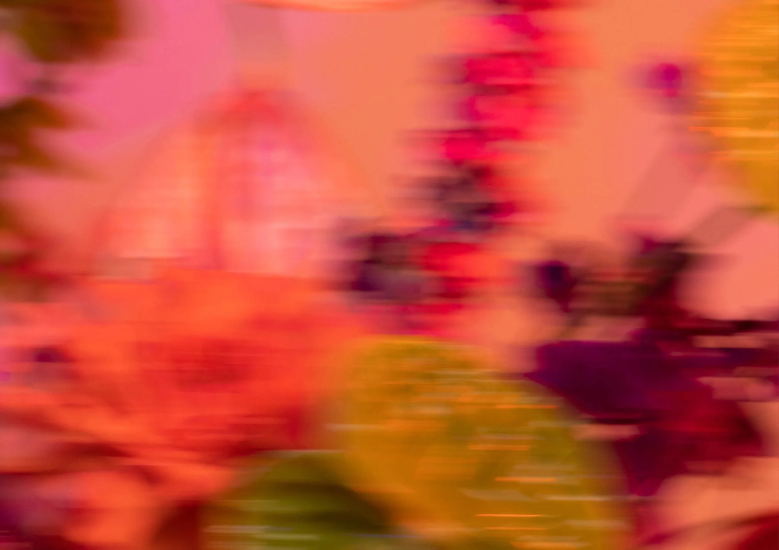 AlexsiaHeller-Website-Portfolio-Pages-Floral.jpg
