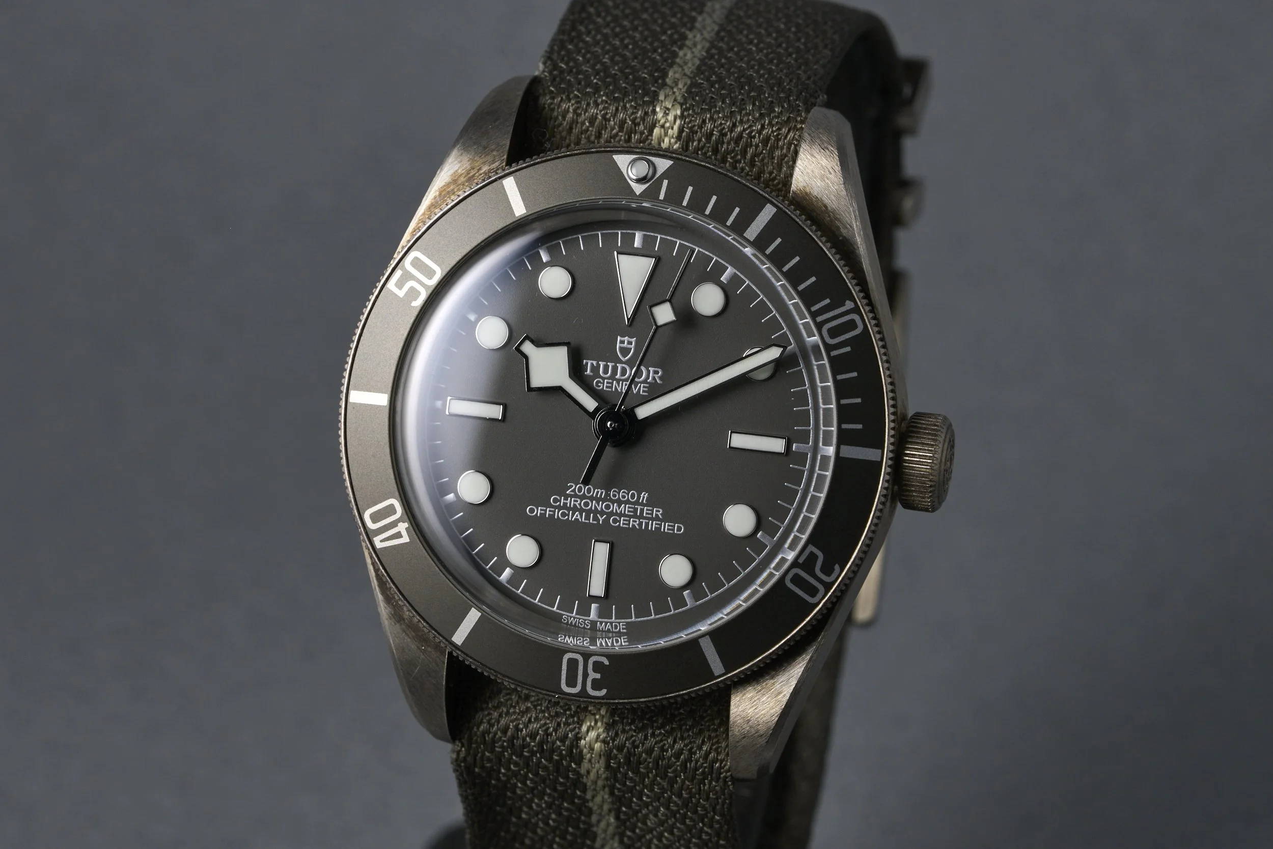 tudor-blackbay58.silver.boxpapers-79010SG-gray .dial-2021-oysterpalace-OP2219-03.jpg