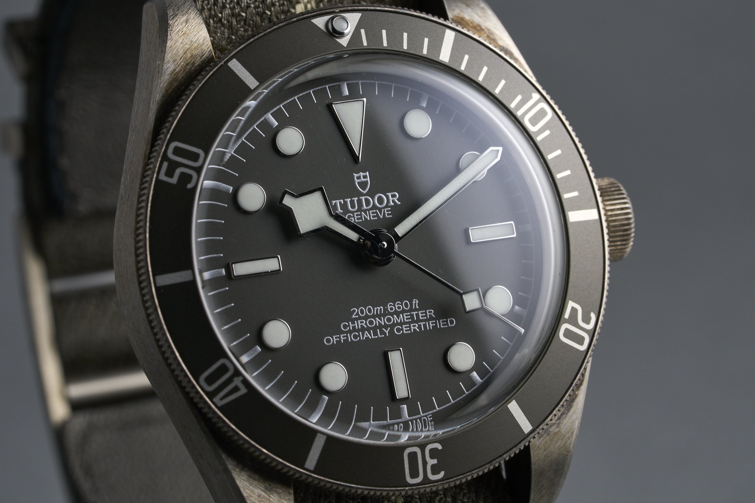 tudor-blackbay58.silver.boxpapers-79010SG-gray .dial-2021-oysterpalace-OP2219-04.jpg