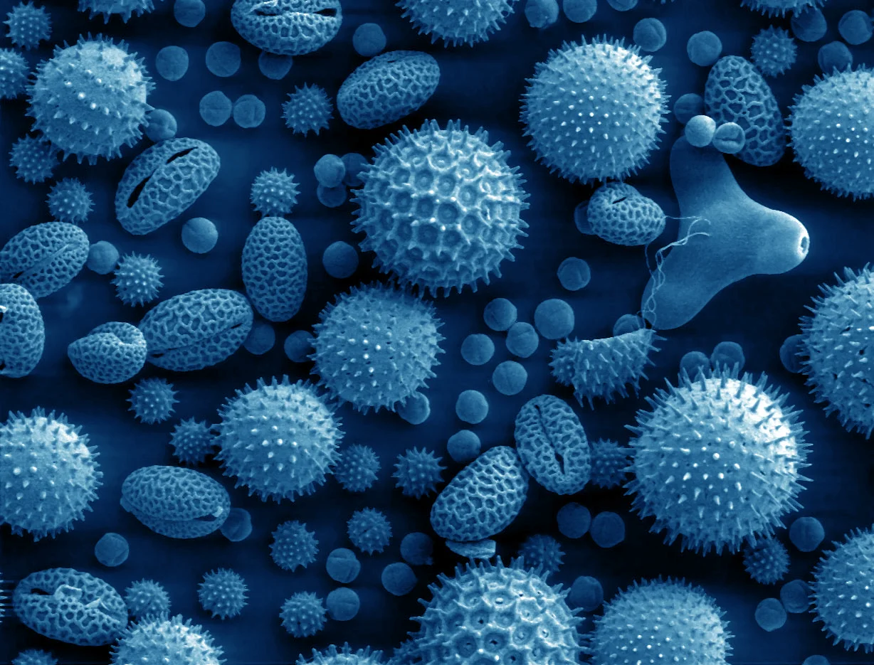 Indoor Air Quality