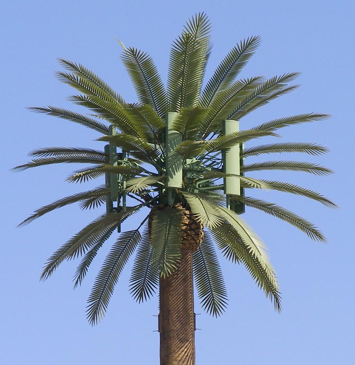 A cell tower disguised as a palm tree emits continuous radiation.
