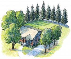 trees-around-house.png