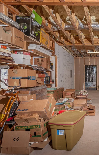 cardboard-boxes-mold.jpg