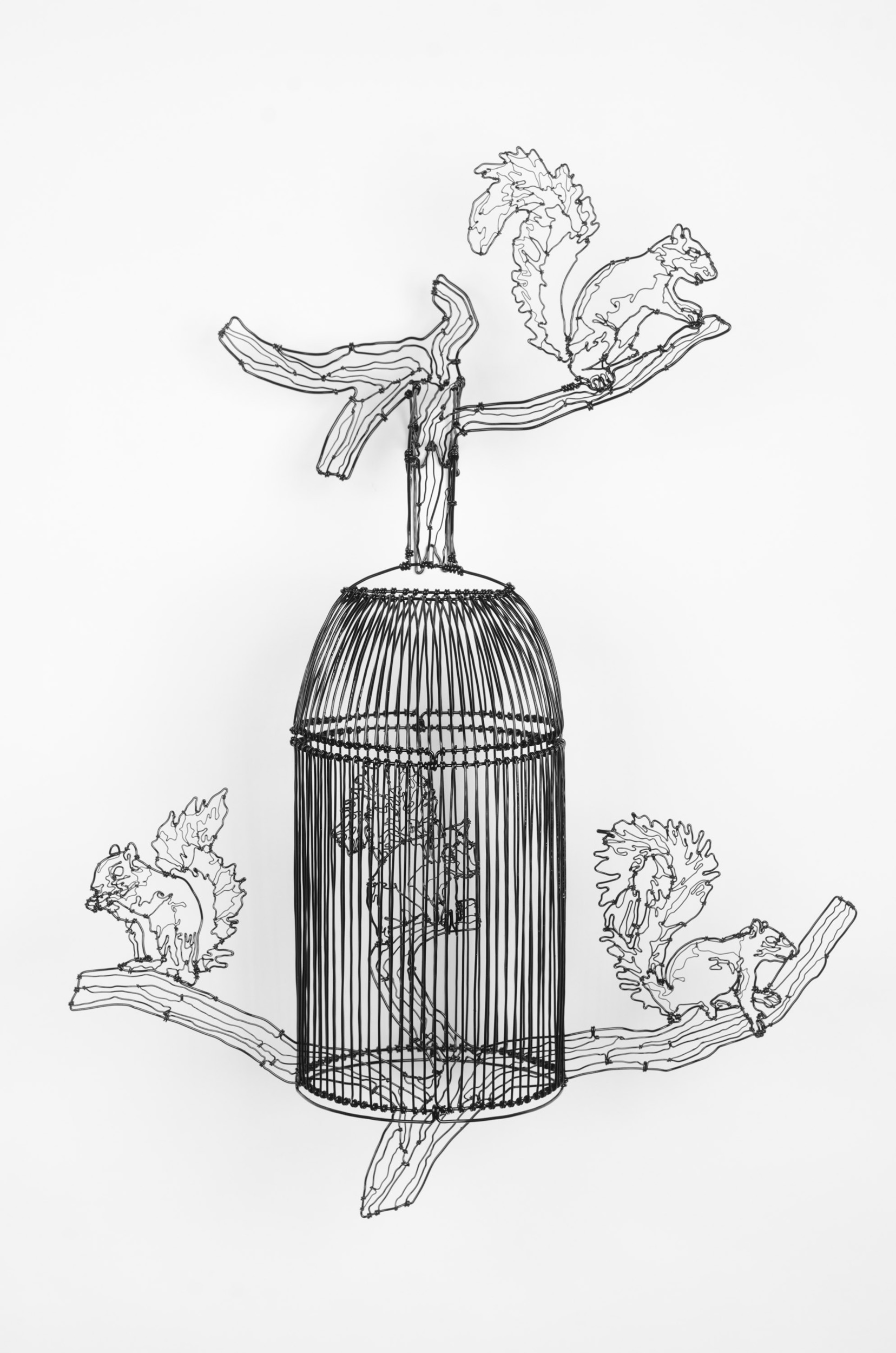 Squirrel Cage 1