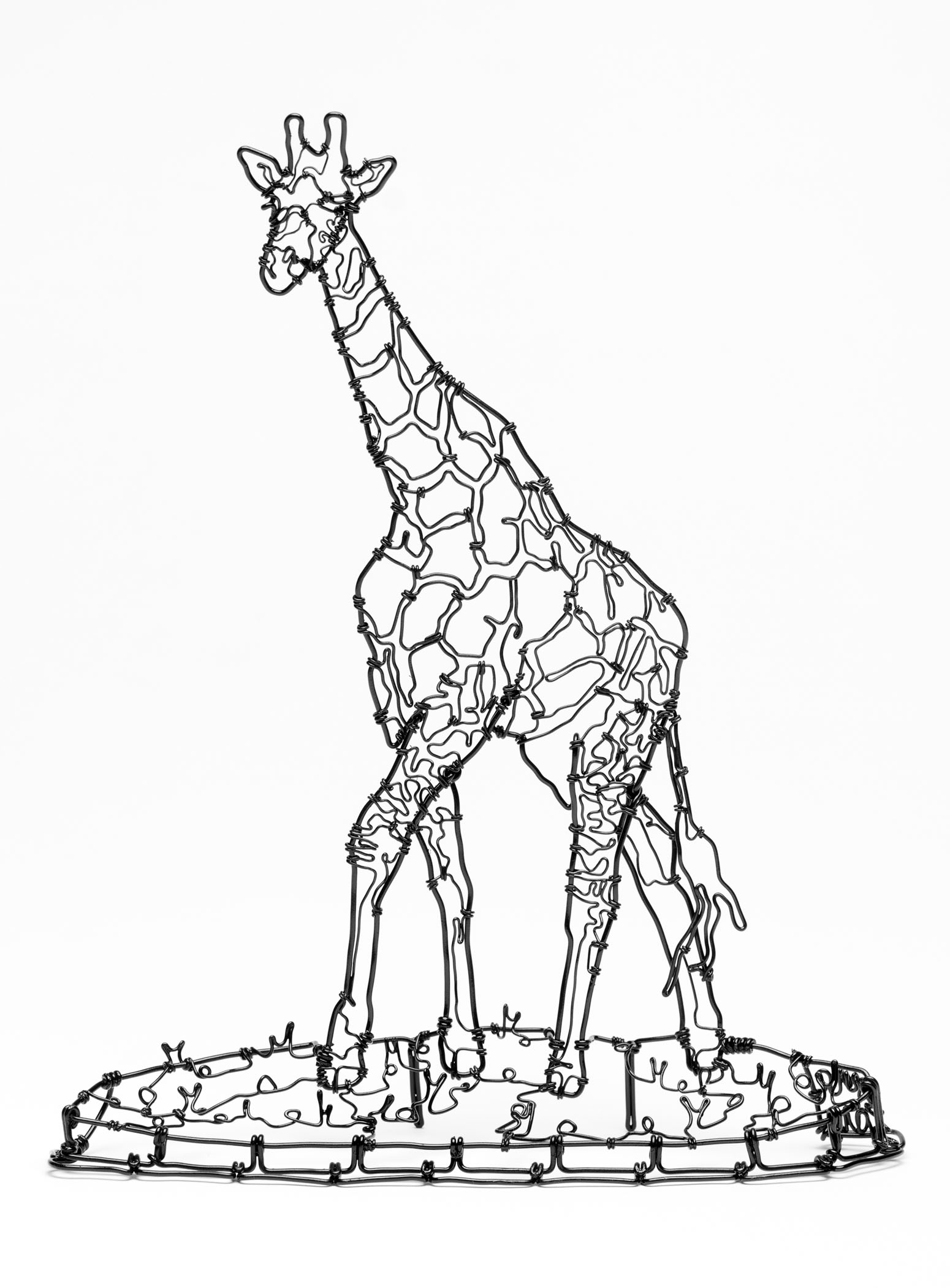 Giraffe2.jpg