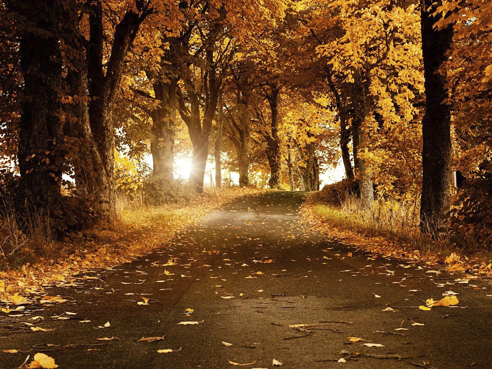 Pathways.jpg