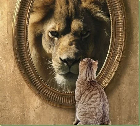 Cat to Lion.jpg