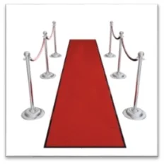   Red Carpet, Velvet Ropes &amp; Stainless Steel Stands  