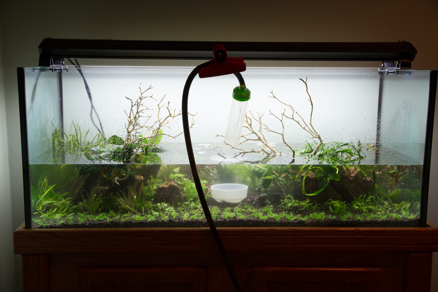 How to Fill Aquarium Without Disturbing Substrate? 2 How to Fill Aquarium Without Disturbing Substrate