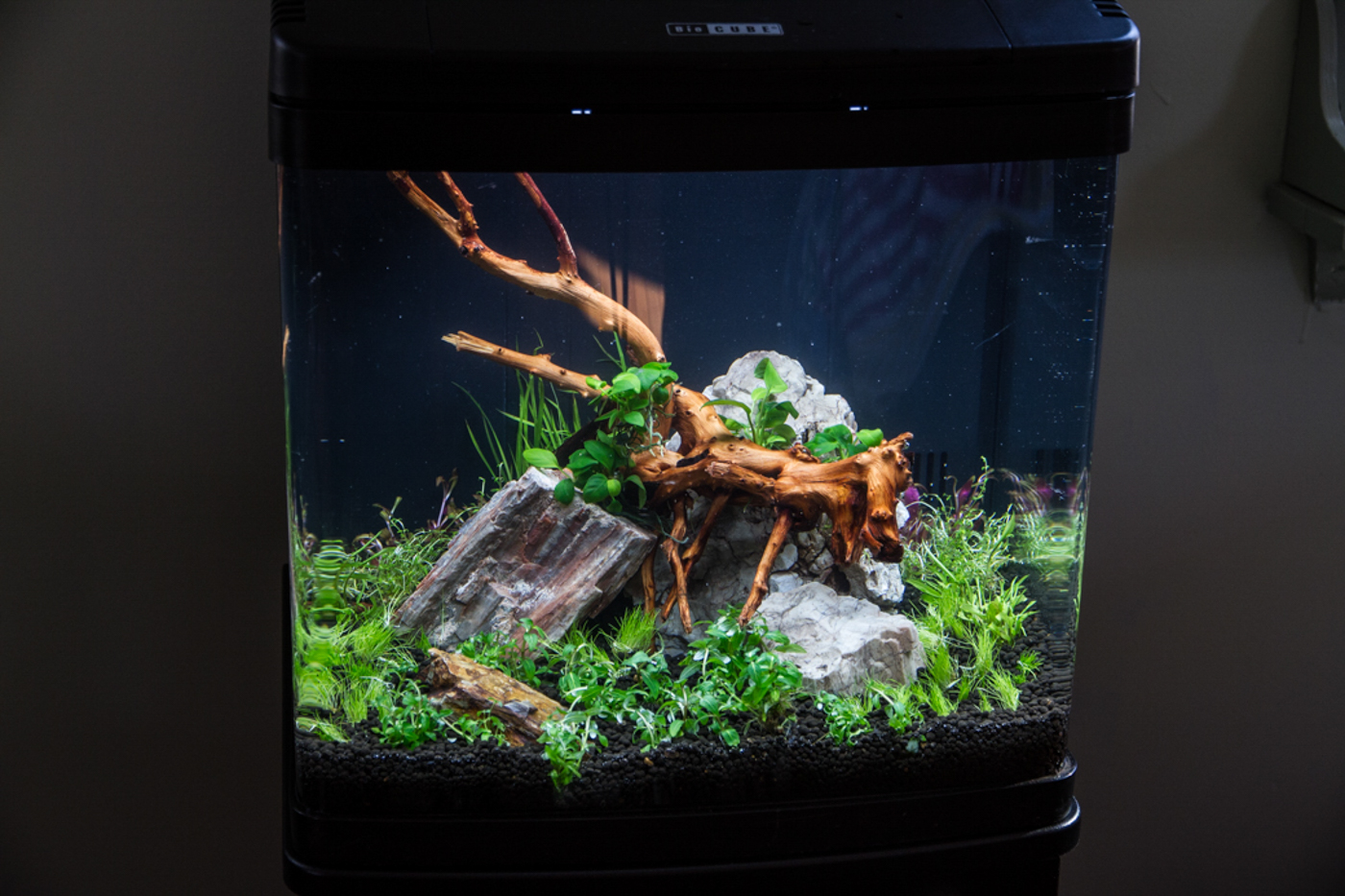 Again, with a little patience, this lead to a super clear tank as soon as it was filled.