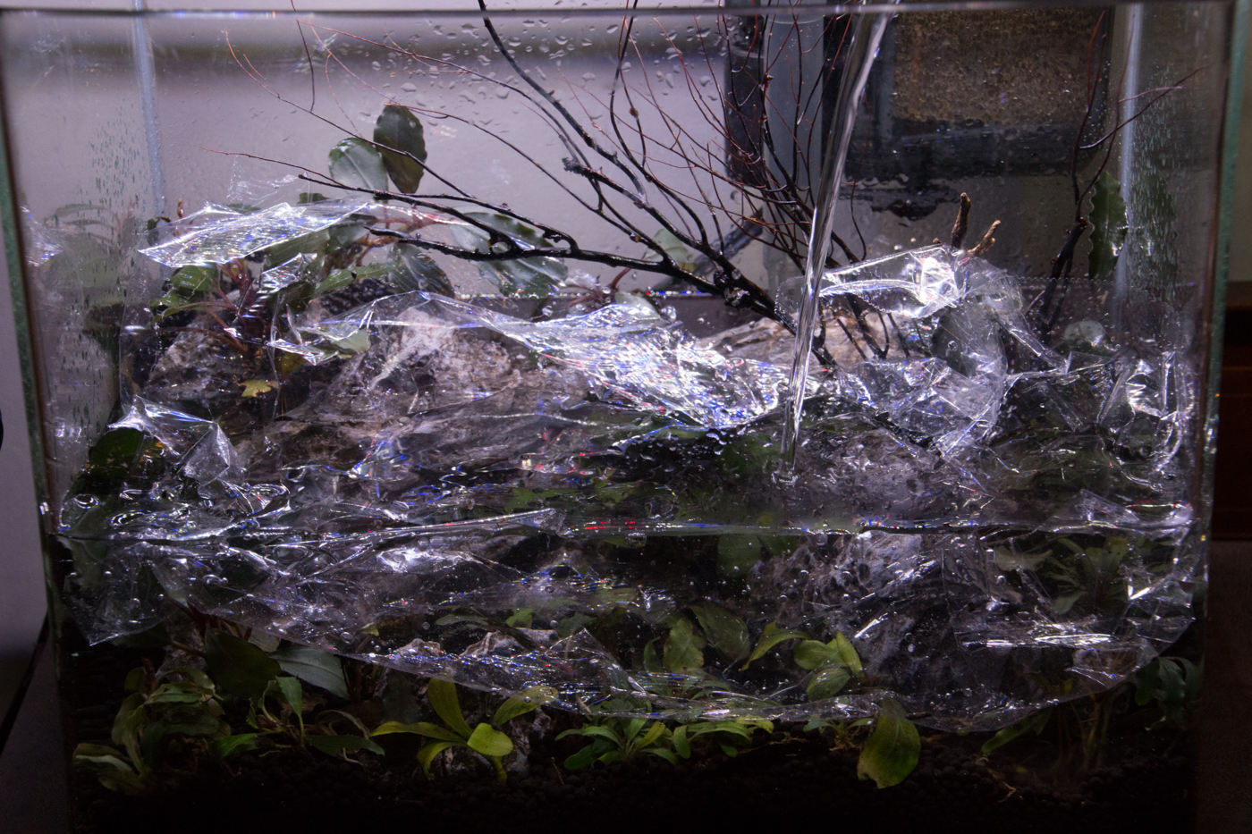 As the water gets deeper, the plastic wrap will float up. No problem! Just keep pouring water directly onto the wrap. 