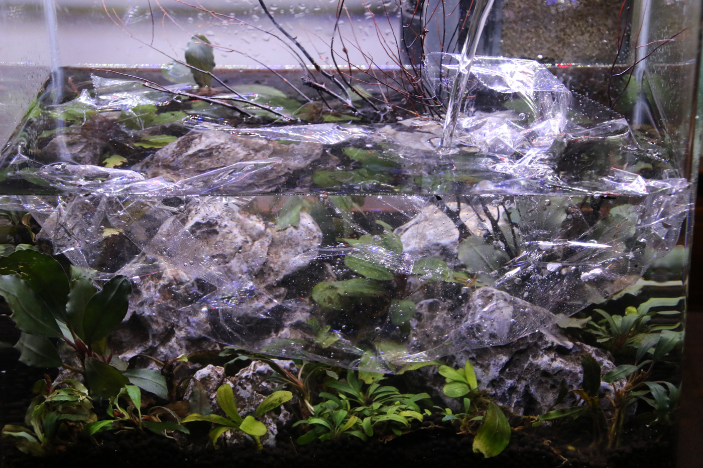 Here you can see that the plastic wrap has floated right up to the surface as the water continues to flow in.