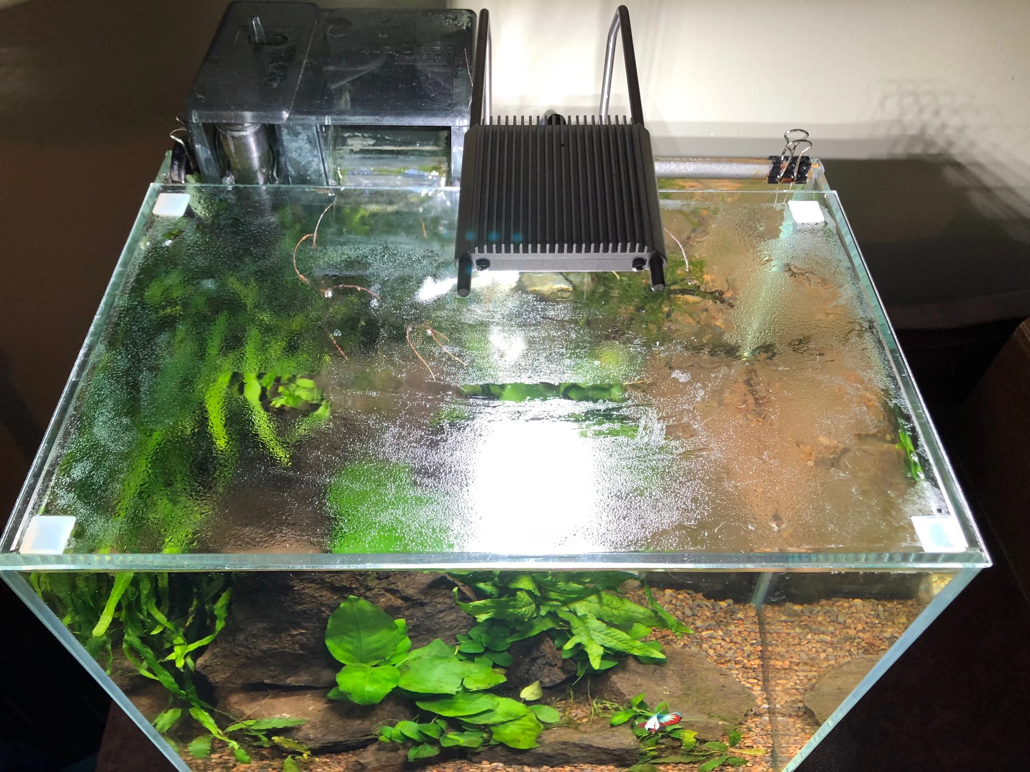 A view of the top of one of the tanks, showing the silicone furniture bumpers in the corners.
