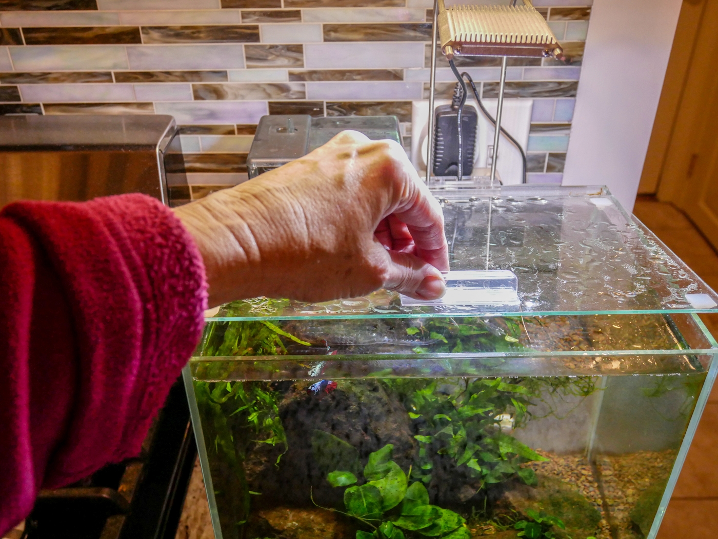 DIY insulating glass for aquarium