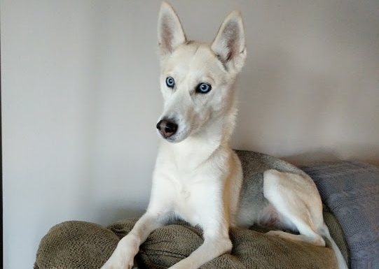 My name is Yuki. What is your favorite Star Wars film? What is your social security number? Thanks.