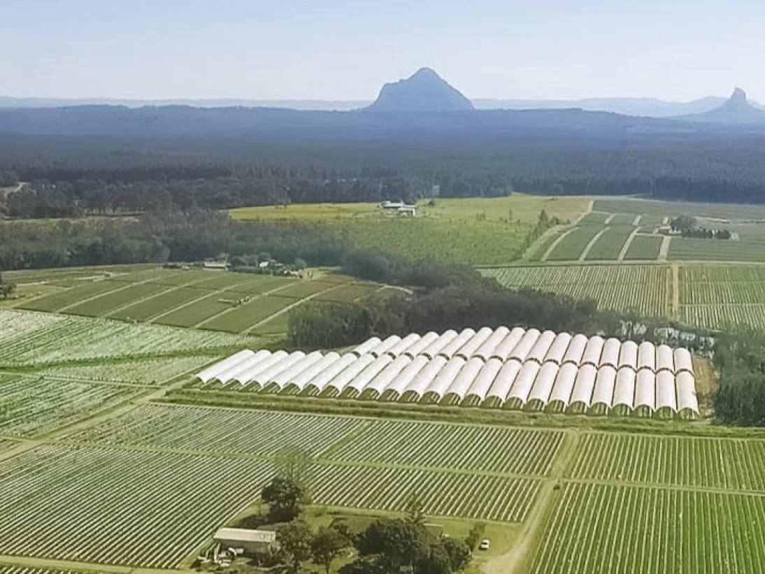 Wamuran Irrigation Scheme