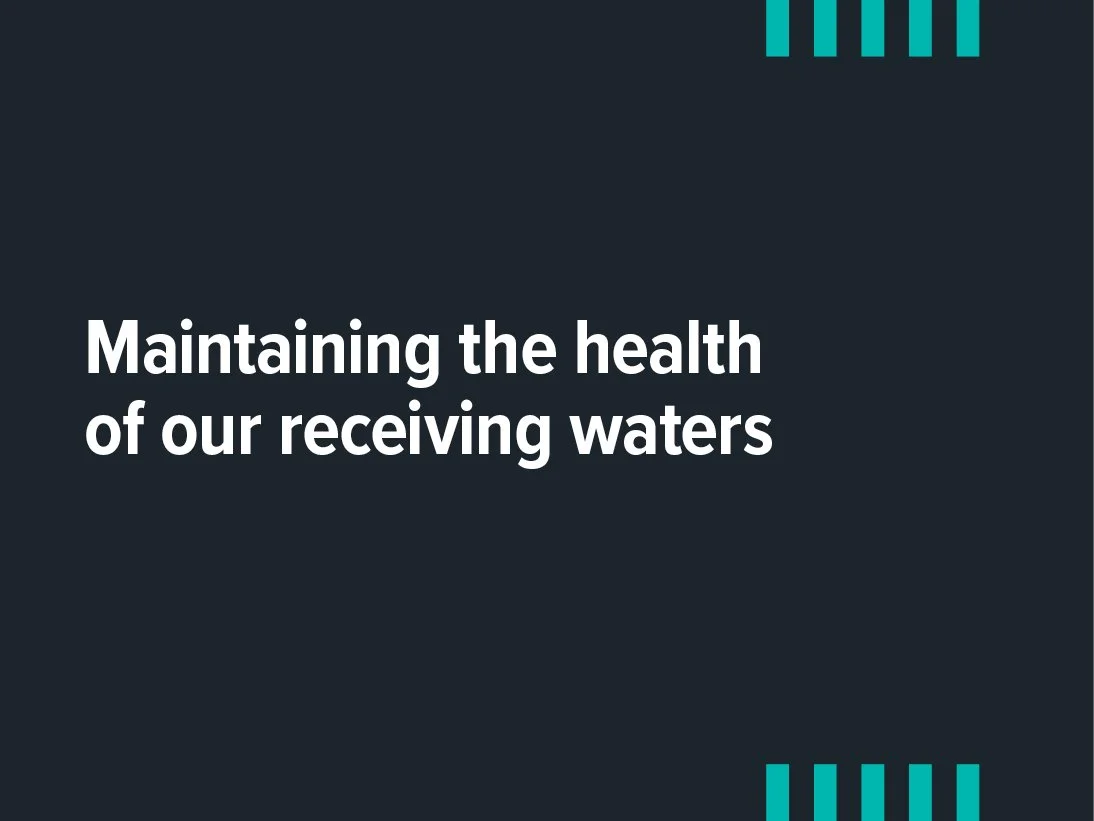 Maintaining the health of our receiving waters - Noosa Biosphere example