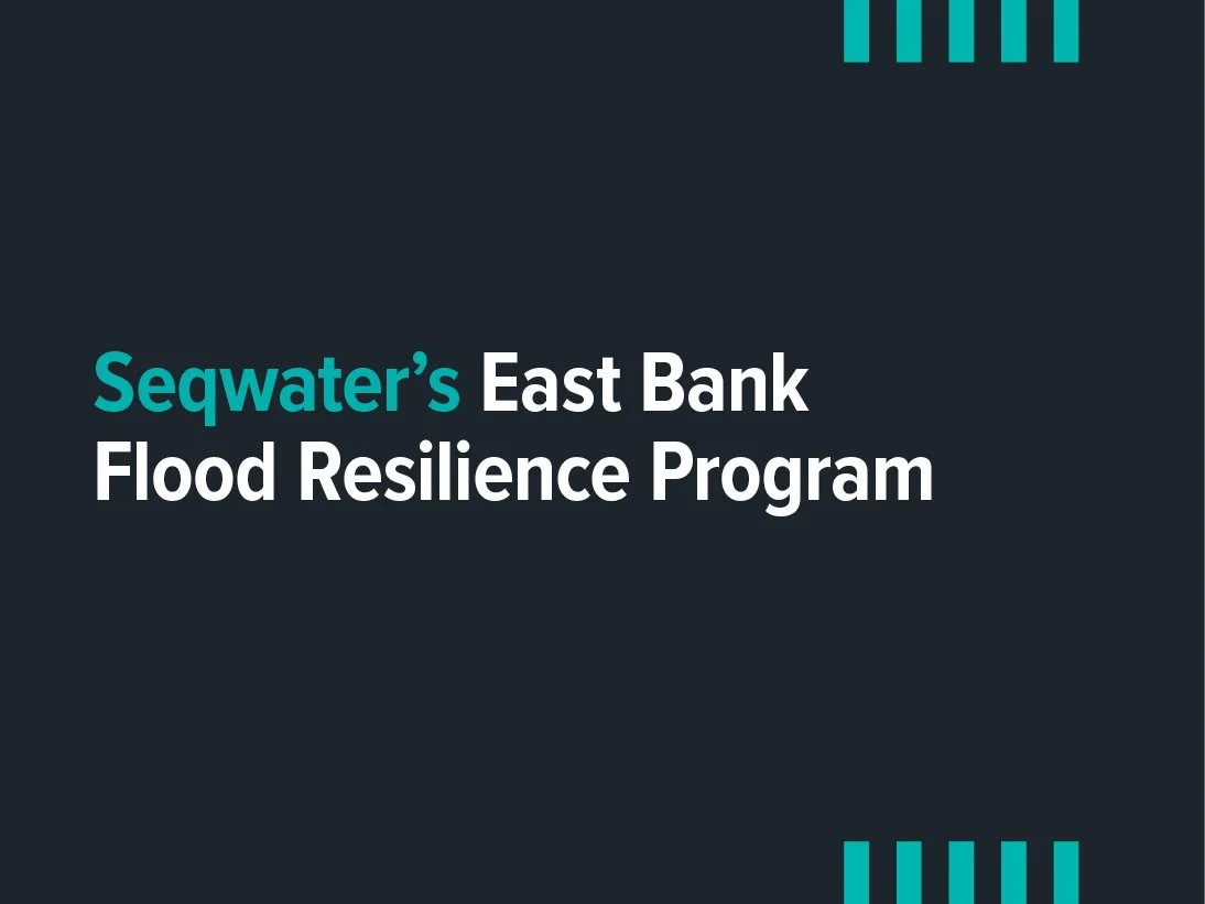 Seqwater's East Bank Flood Resilience Program 