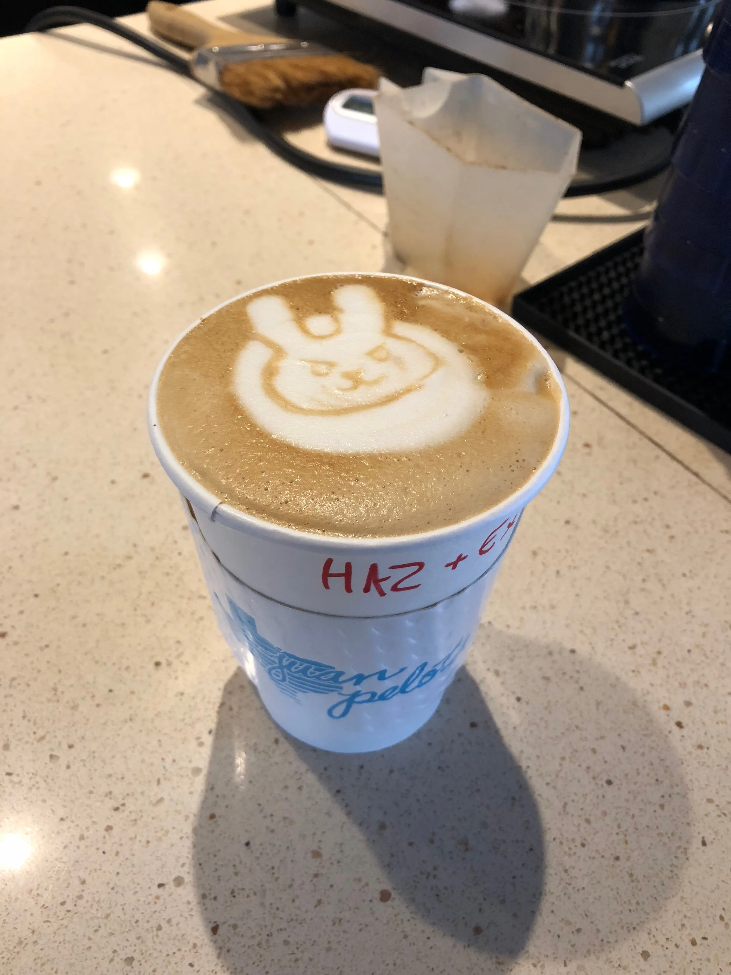 Latte art of D.Va from Juan Pelota Cafe in Austin, Texas