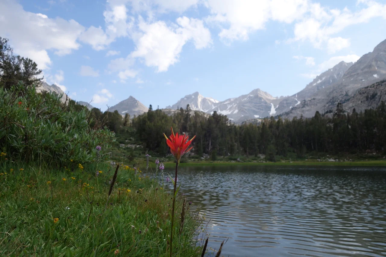 Little Lakes Valley with Bear Creek Spire in the background