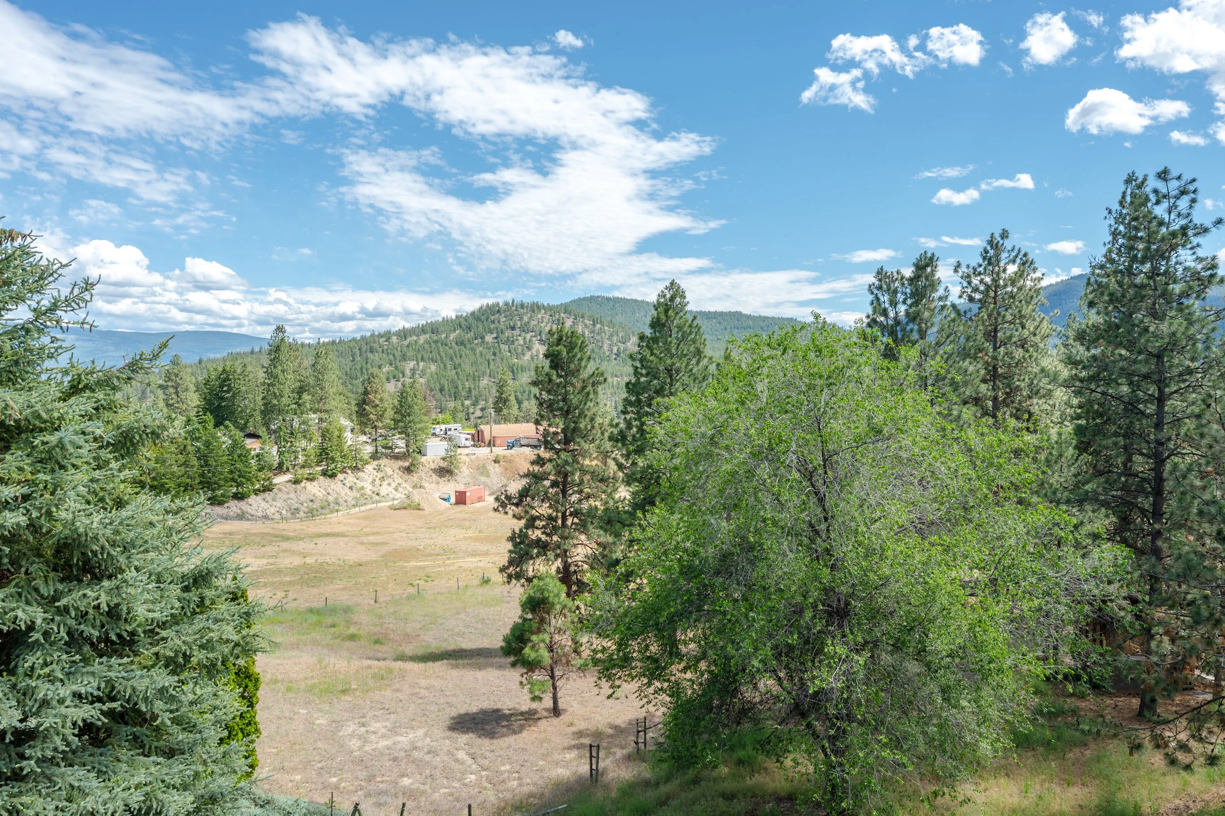 DSC_5194.jpg