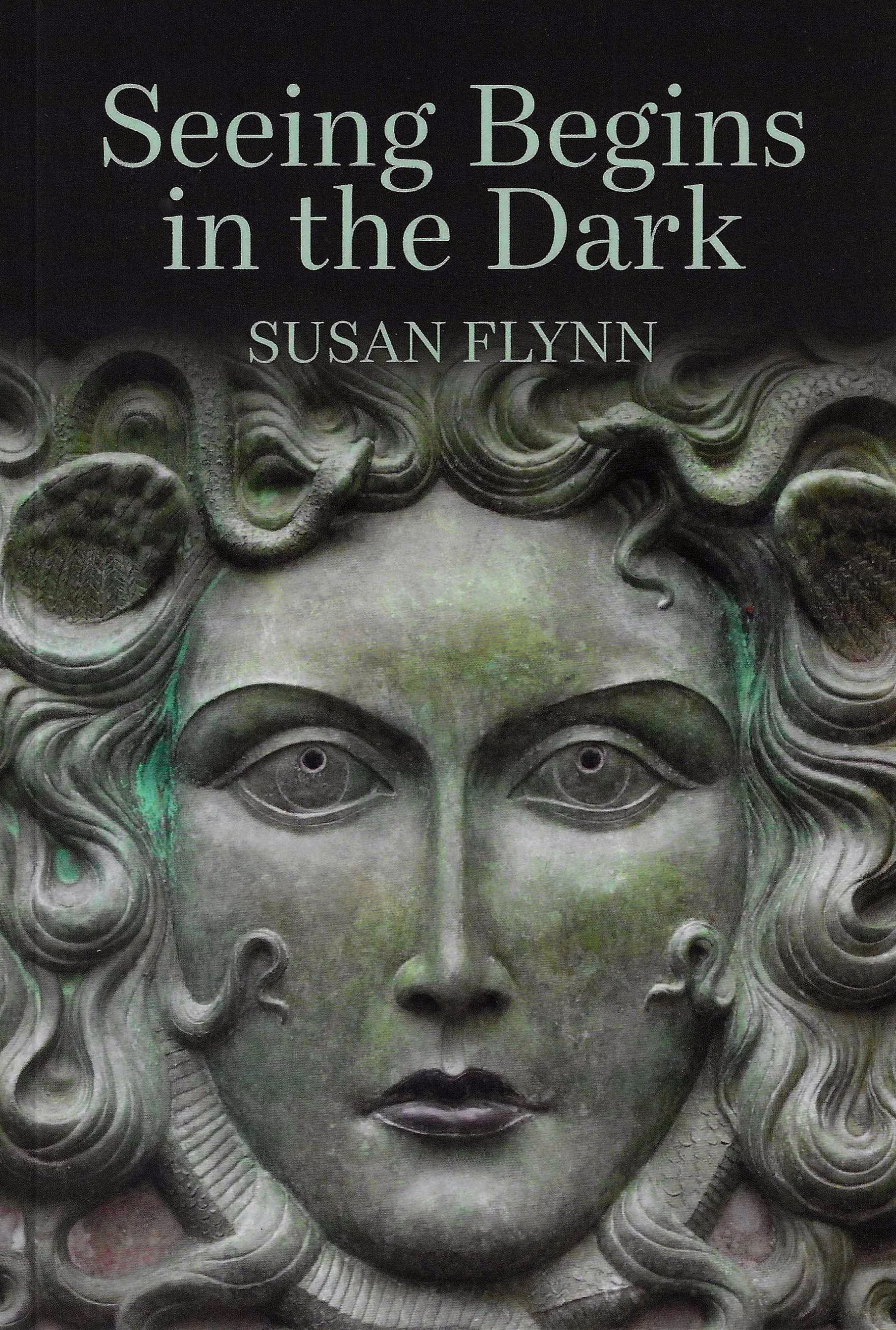 Seeing Begins in the Dark actual book cover.jpeg