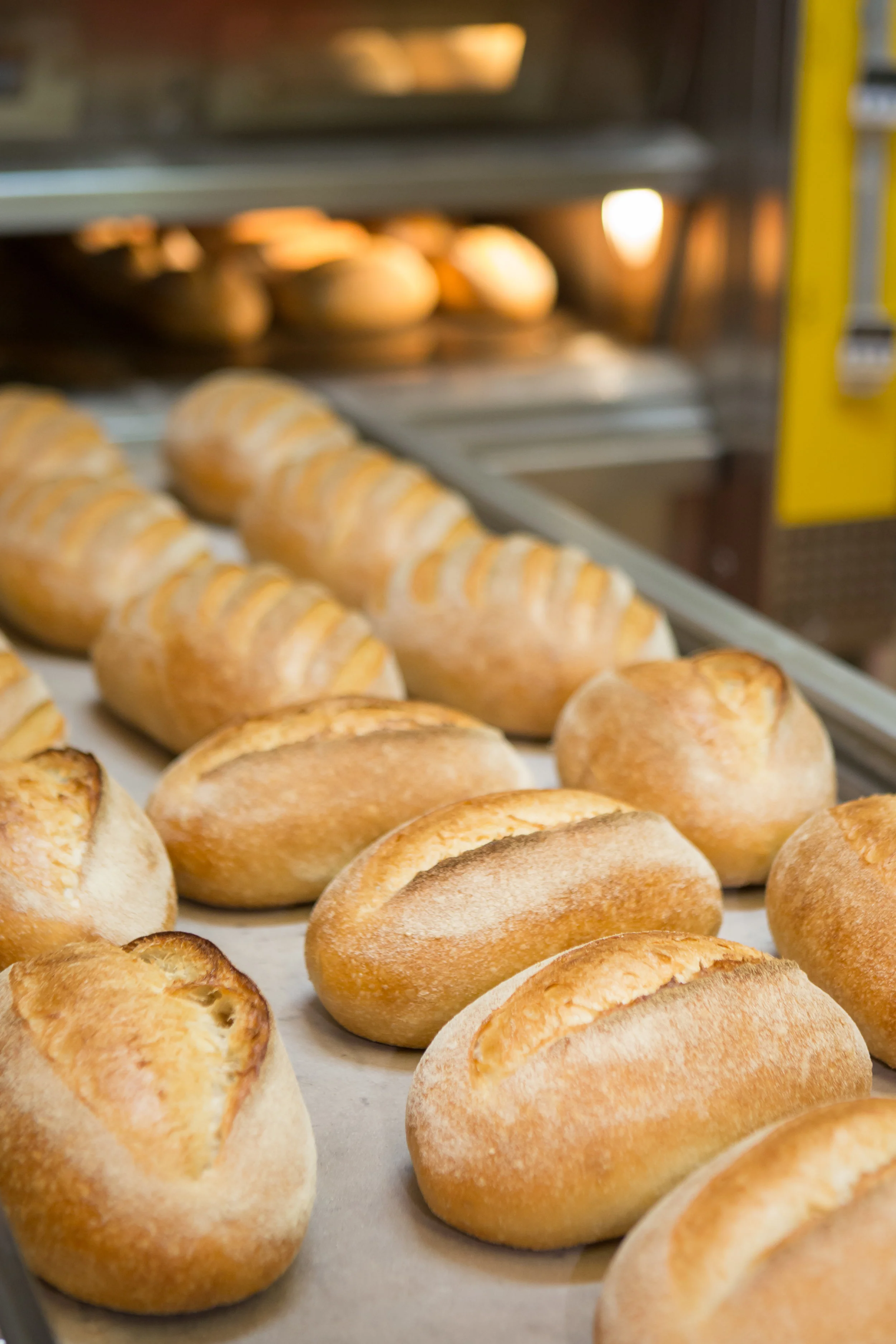 Finished loaves coming out of the oven