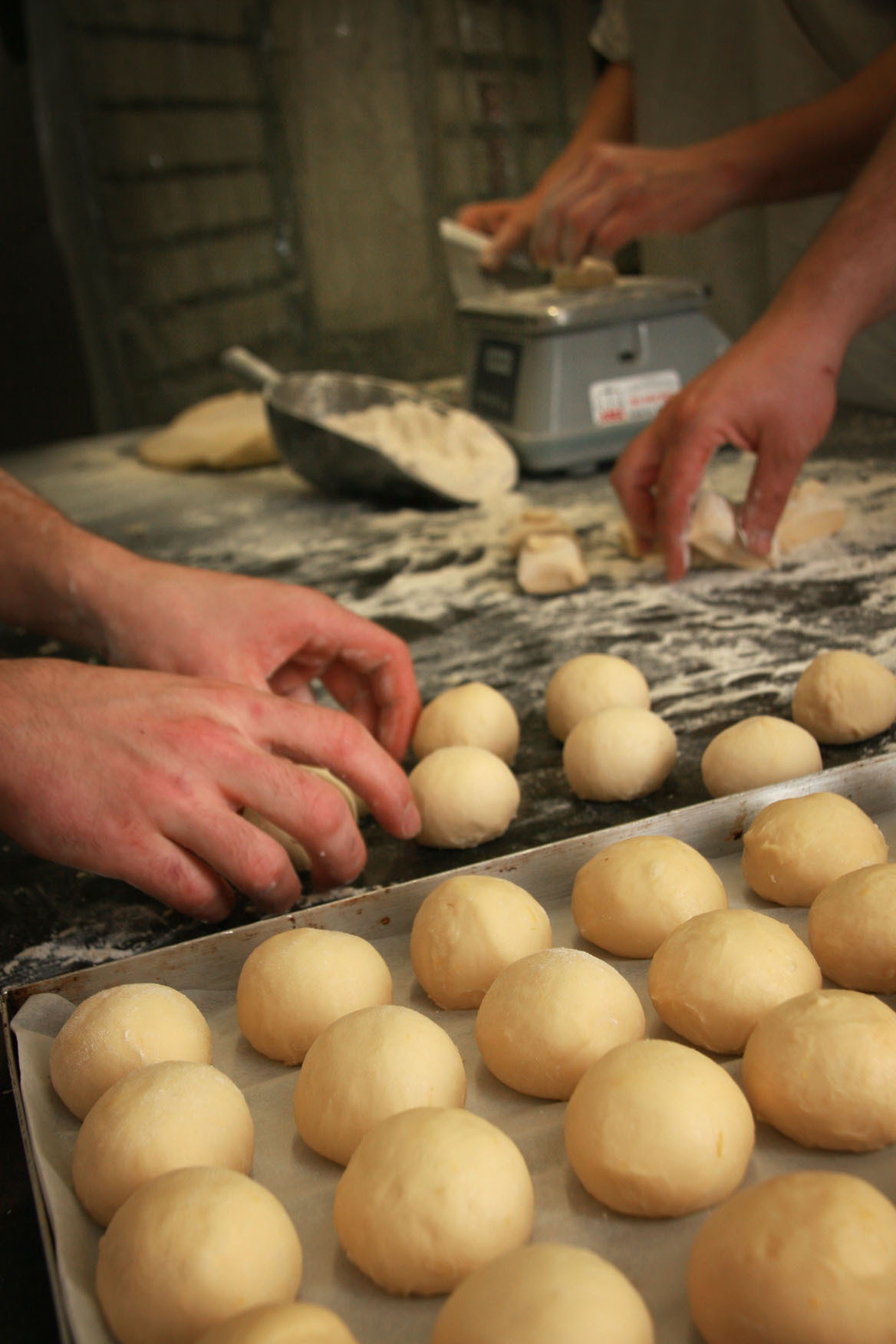 Bombolone Cut & Rounded