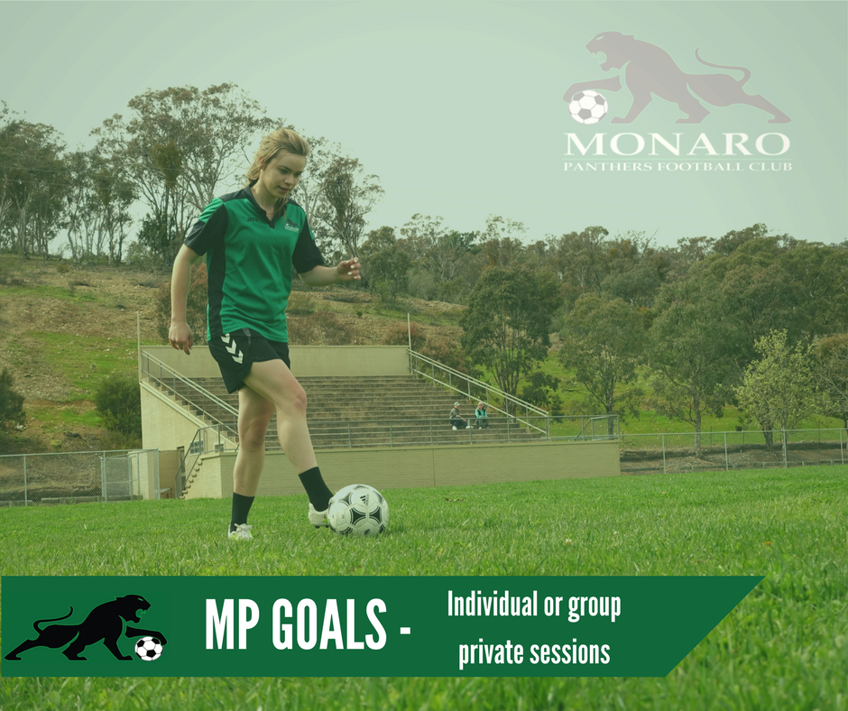 MP GOALS - Individual or Group Private Sessions
