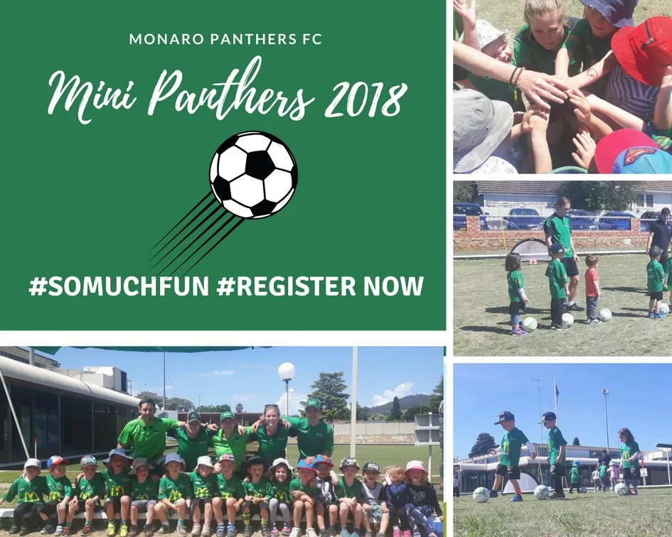 Mini Panthers 2018.jpg