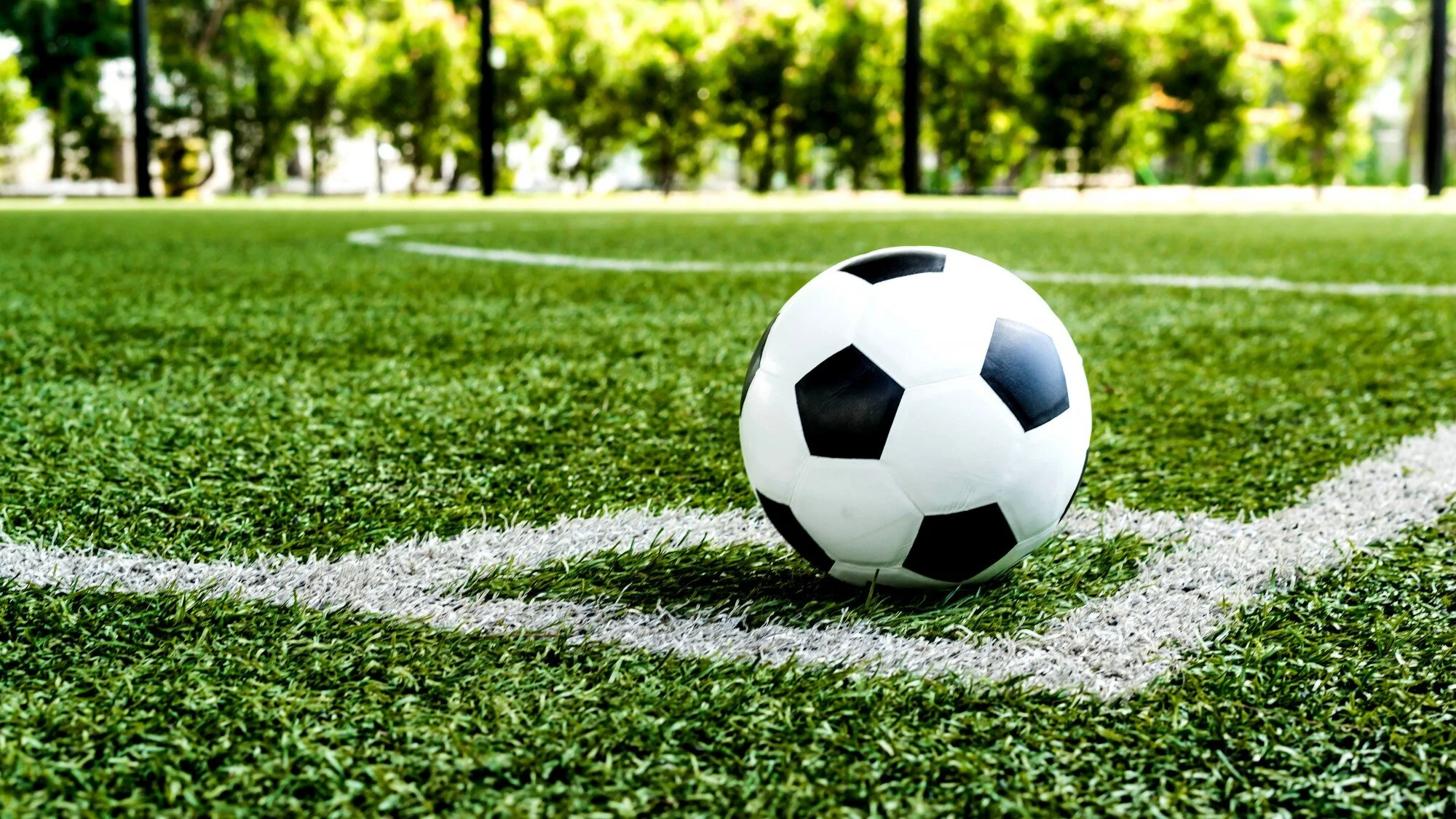 MPFC small web image.jpg