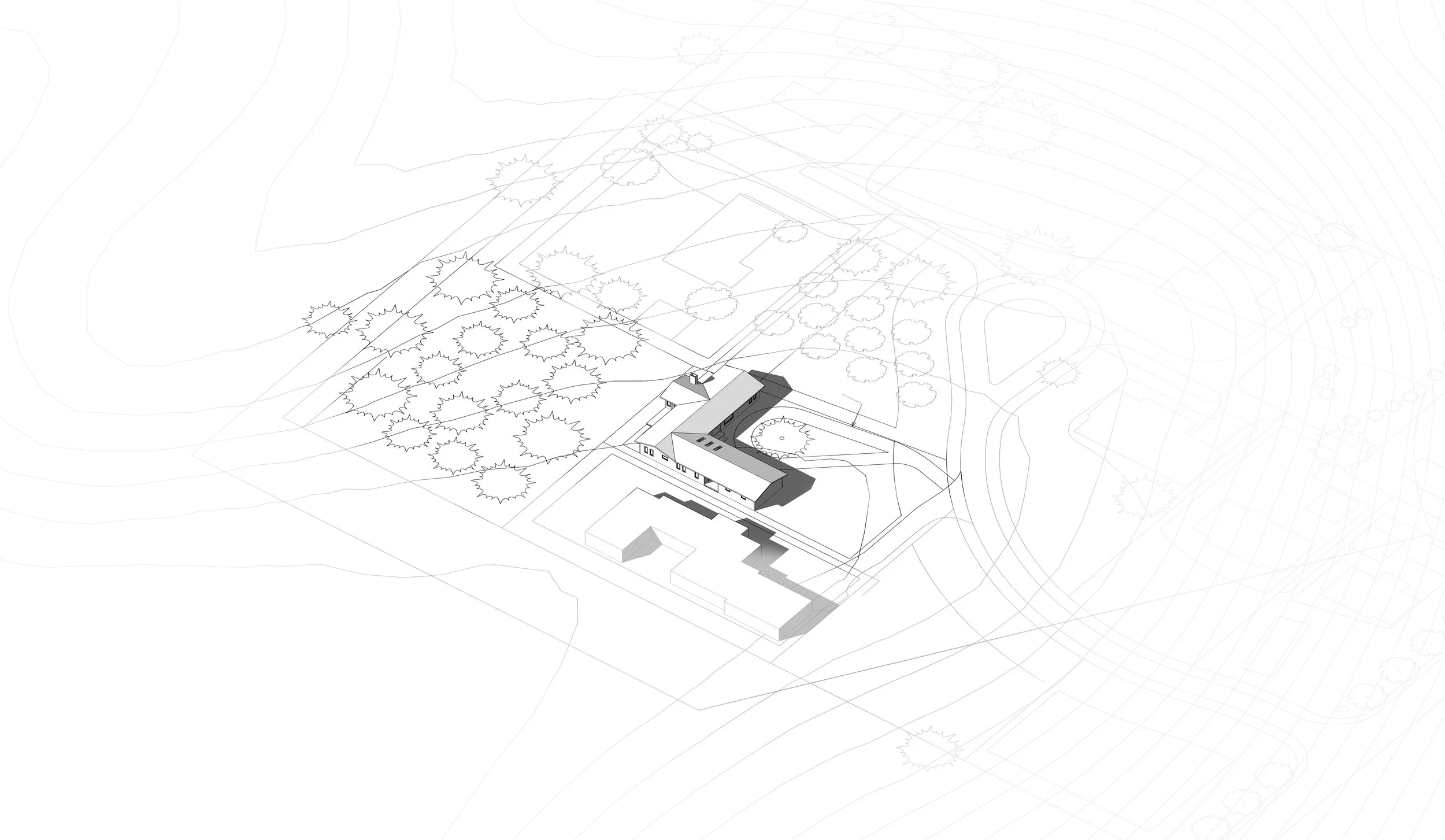 Koura Farm_Lot 9_Site Axon Zoomed Out.jpg