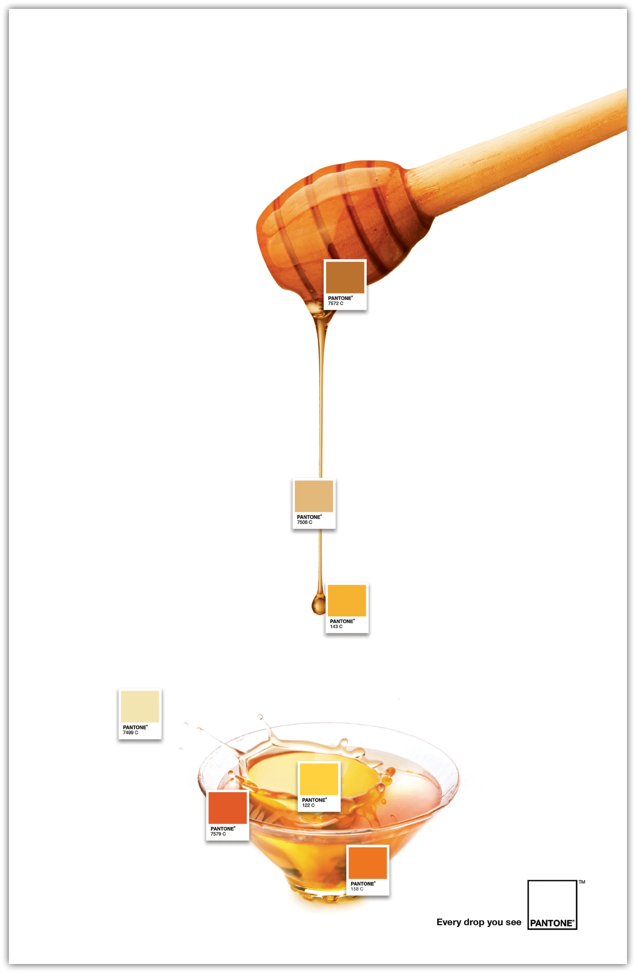 pantone2.jpg